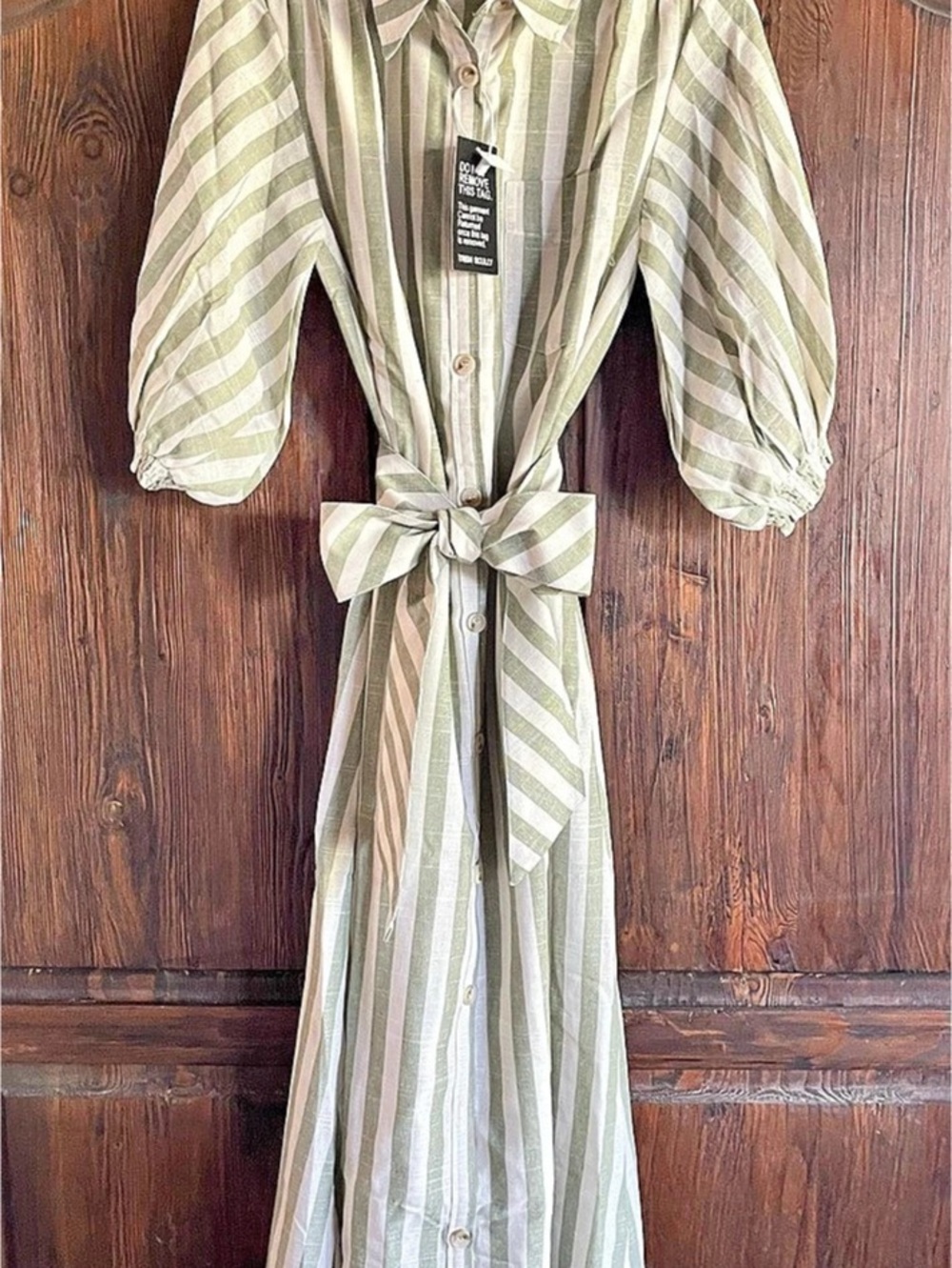 NWT Trish Scully Brooklyn Maxi Dress in Striped Green & White